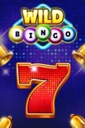 Wild Bingo