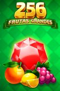 256 Frutas Grandes